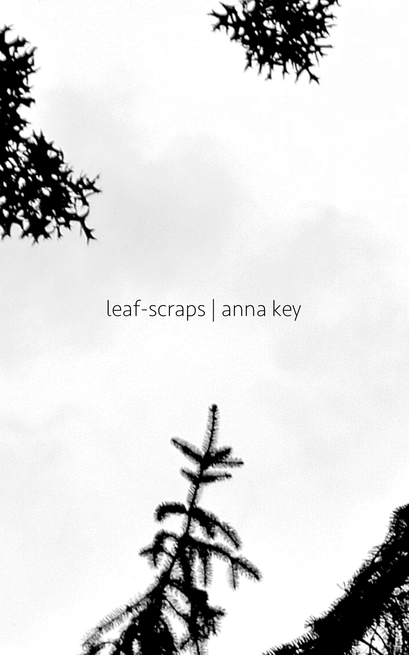 Leaf-Scraps by Anna Key