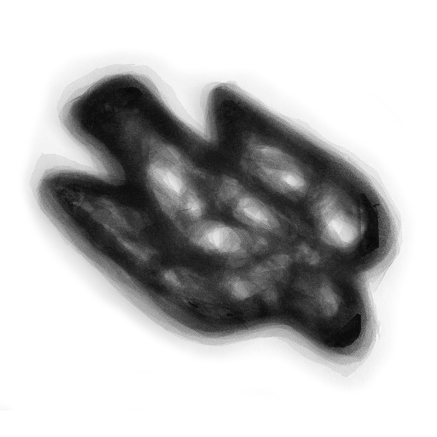 383-tom-breakdove-no-background.png