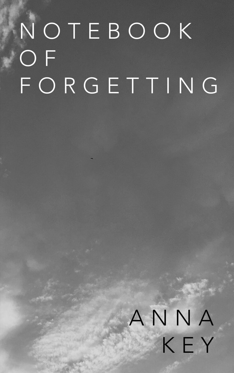 Notebook of Forgetting by Anna Key