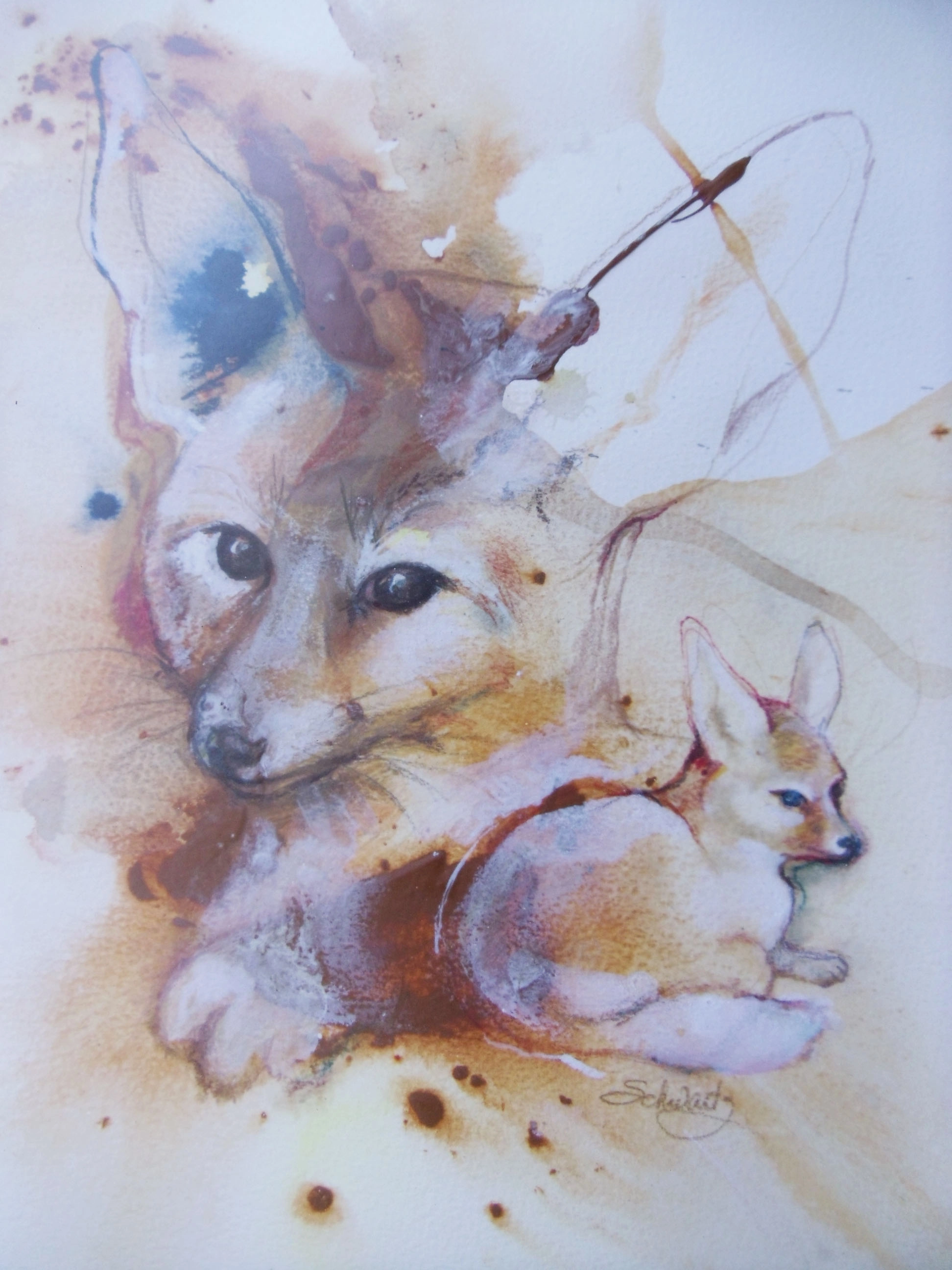 Fenic fox painting by Jane Gates