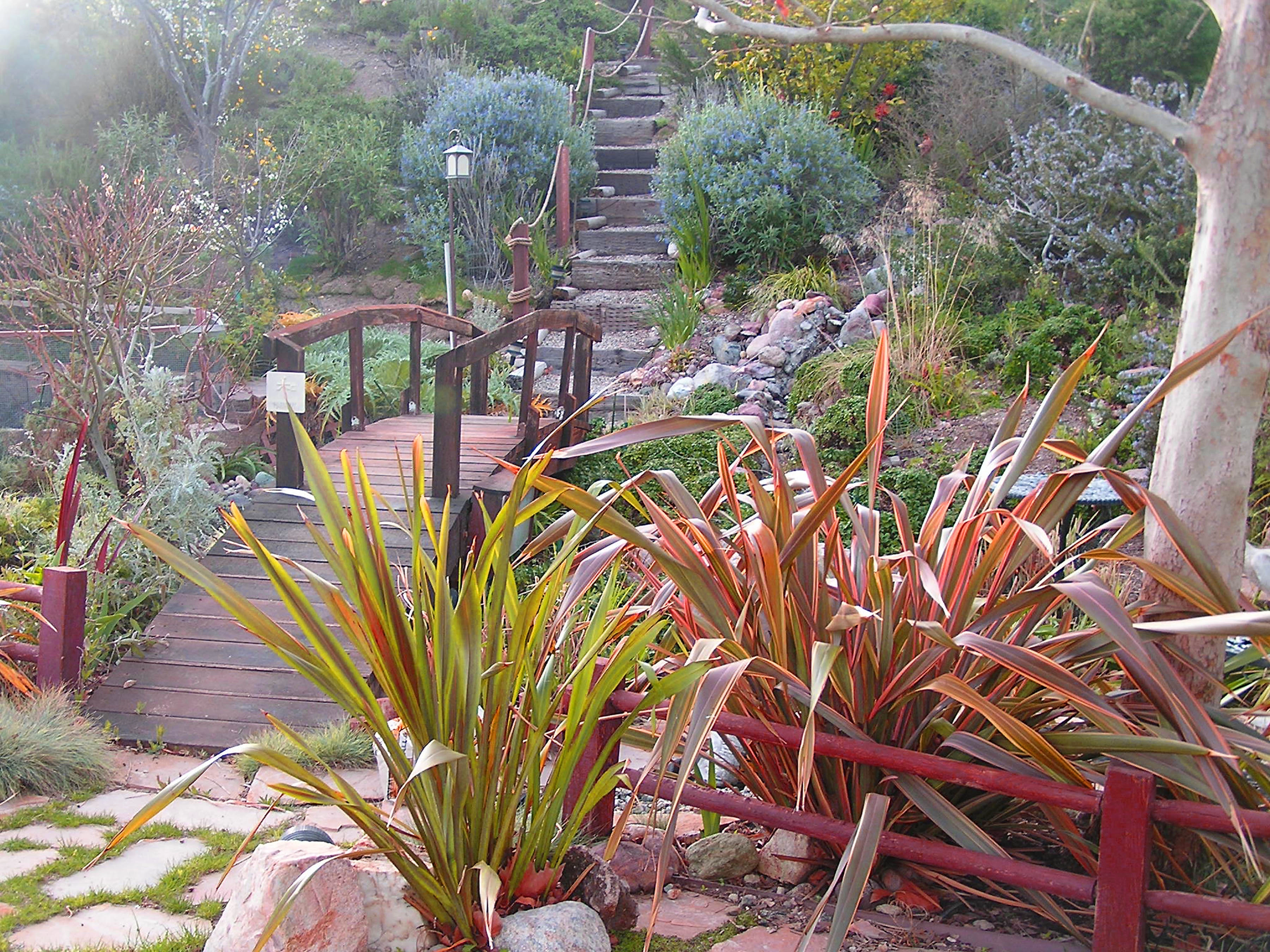 Colorful foliage adds interest to this informal landscape year round Country garden