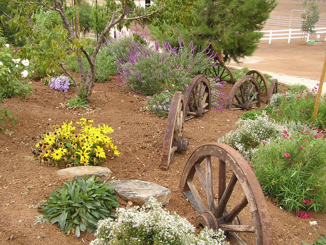 Wagon wheels in the landscape Wagon wheel decor