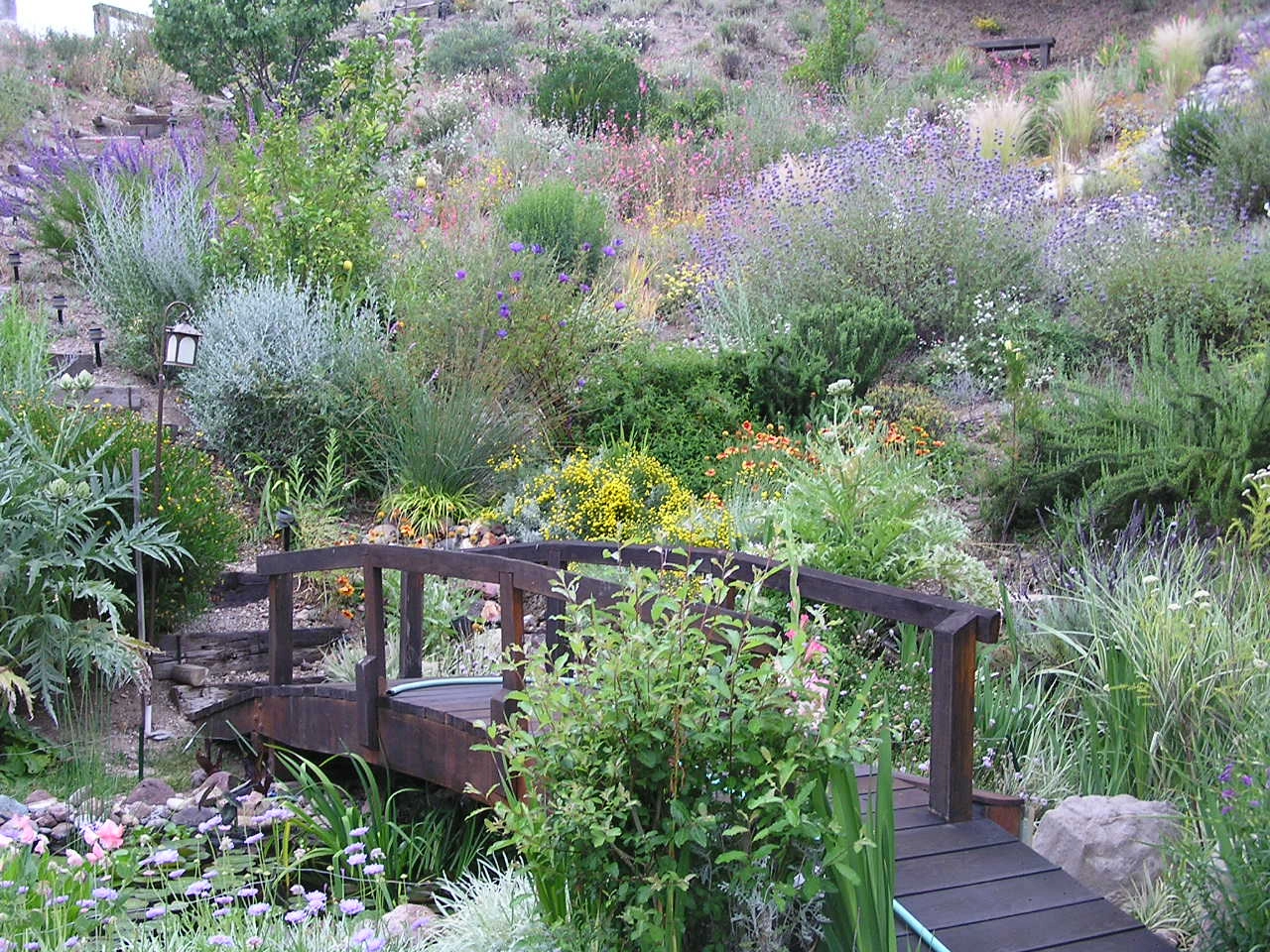 Invitation to walk through a garden Bridge and colorful garden