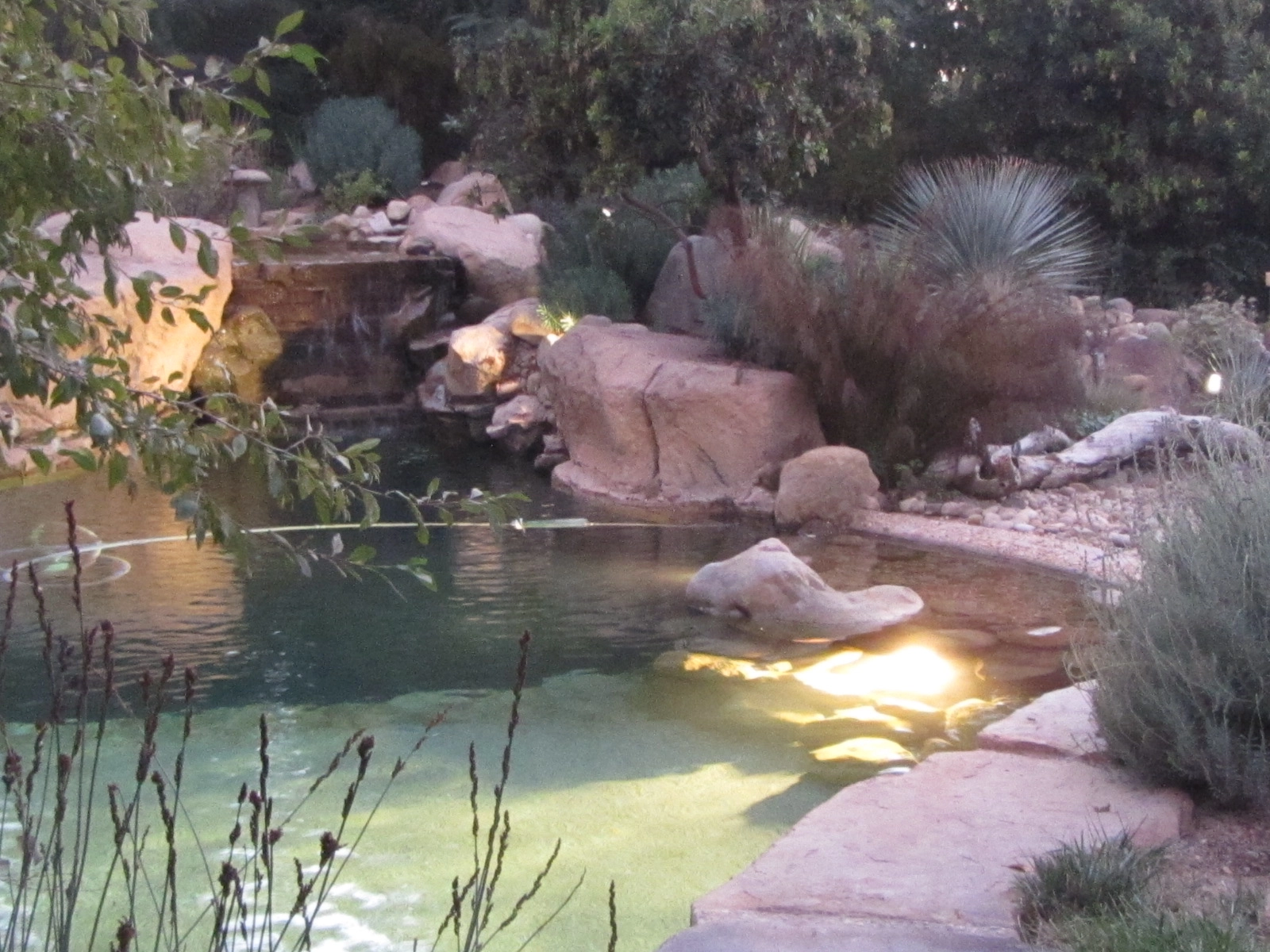 Natural pool with night lighting 204-img0052jpg.jpg