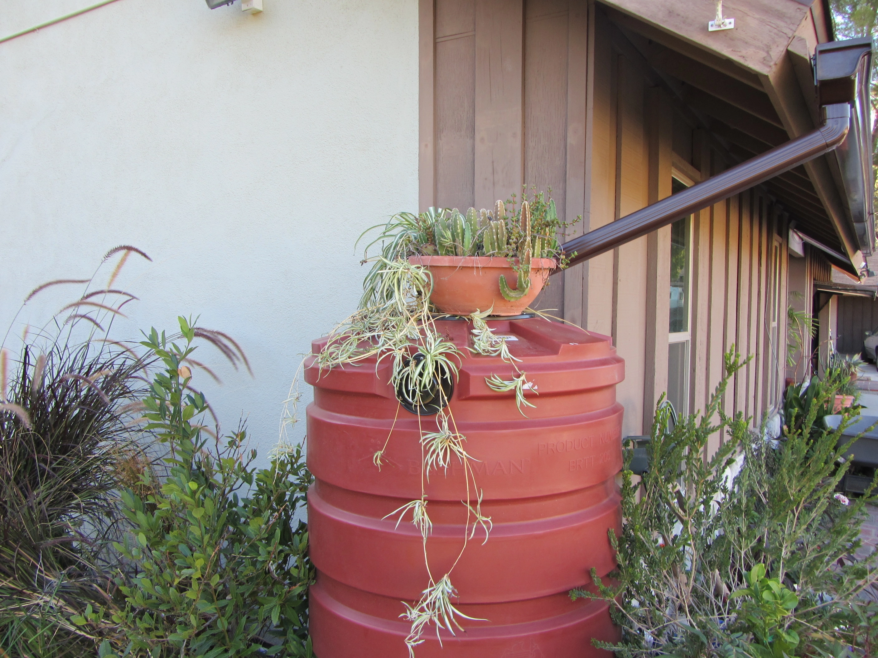 Decorate a rain barrel Rainbarrel