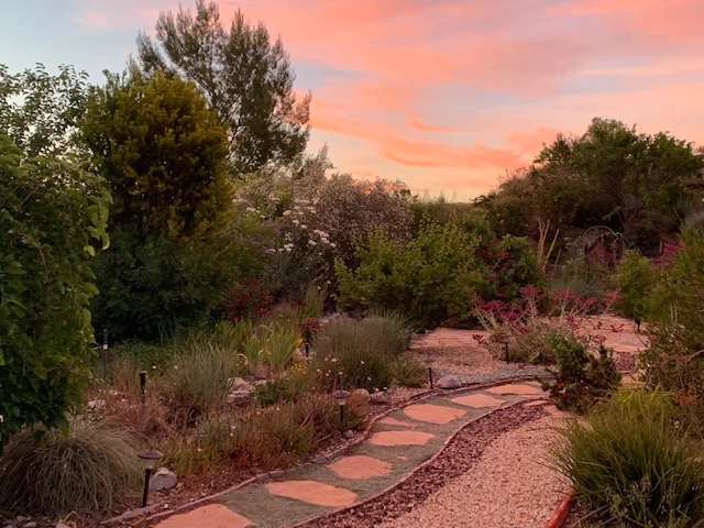 This water wise garden reflects the sunrise Garden sunrise