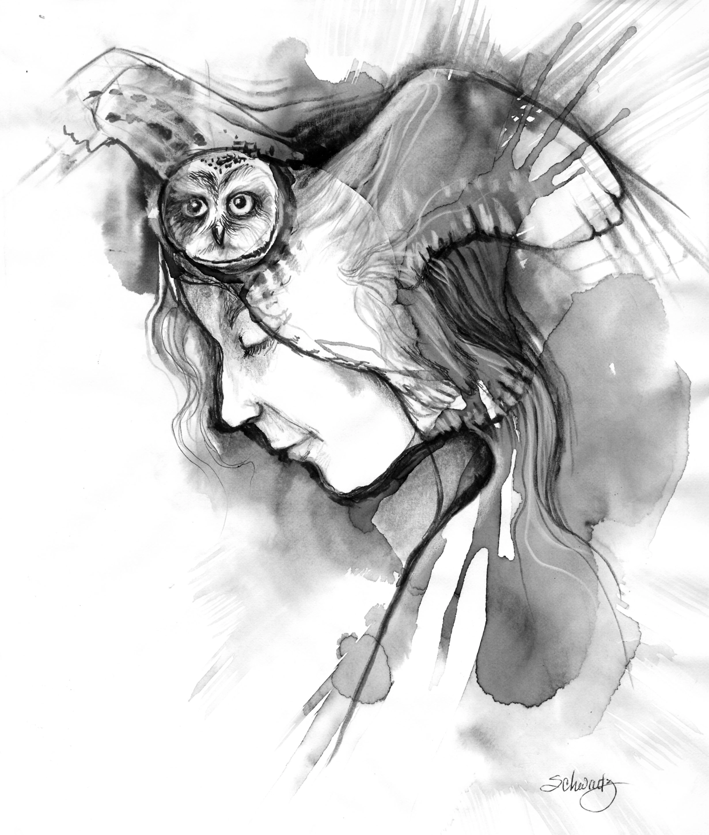 Jane gates black and white owl art