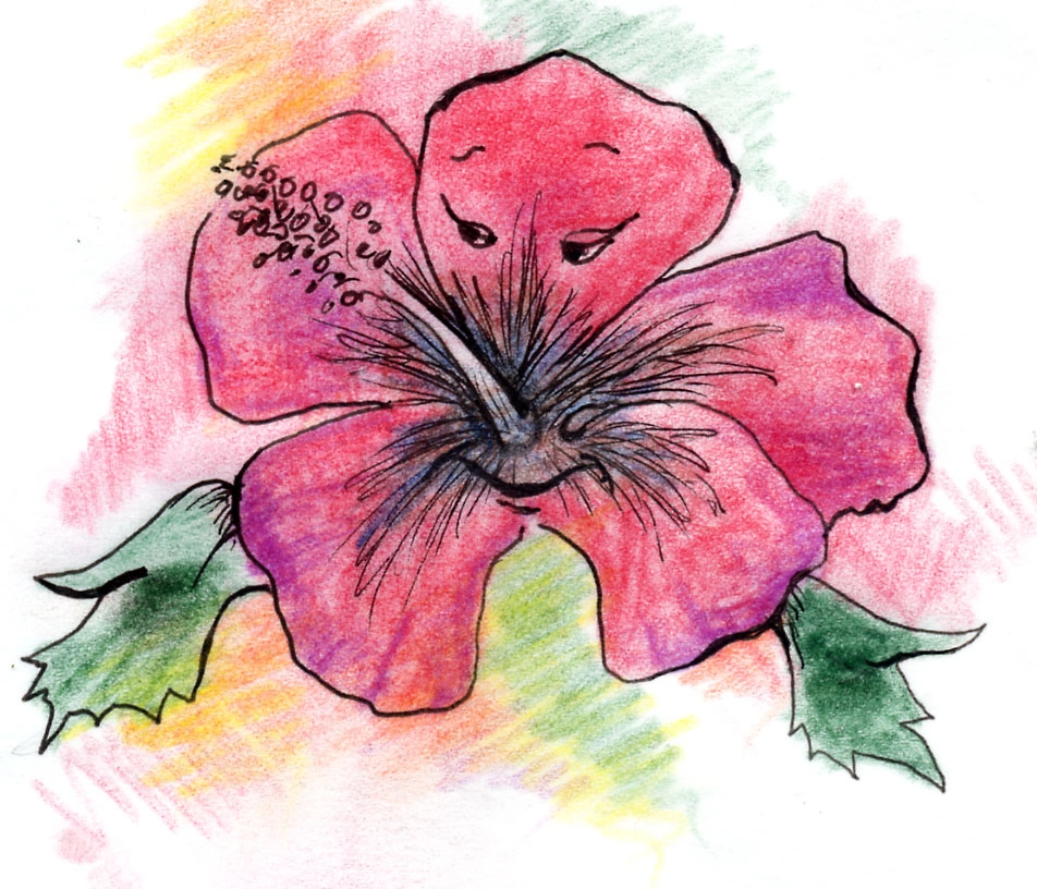 cartoon hibiscus
