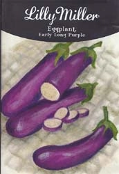 eggplant seed packet illustration