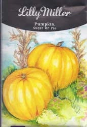 pumpkin seed packet illustration