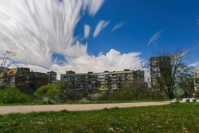 expressive clouds