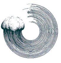 2420-jellyfish-logo-rotating-17103977538049.gif
