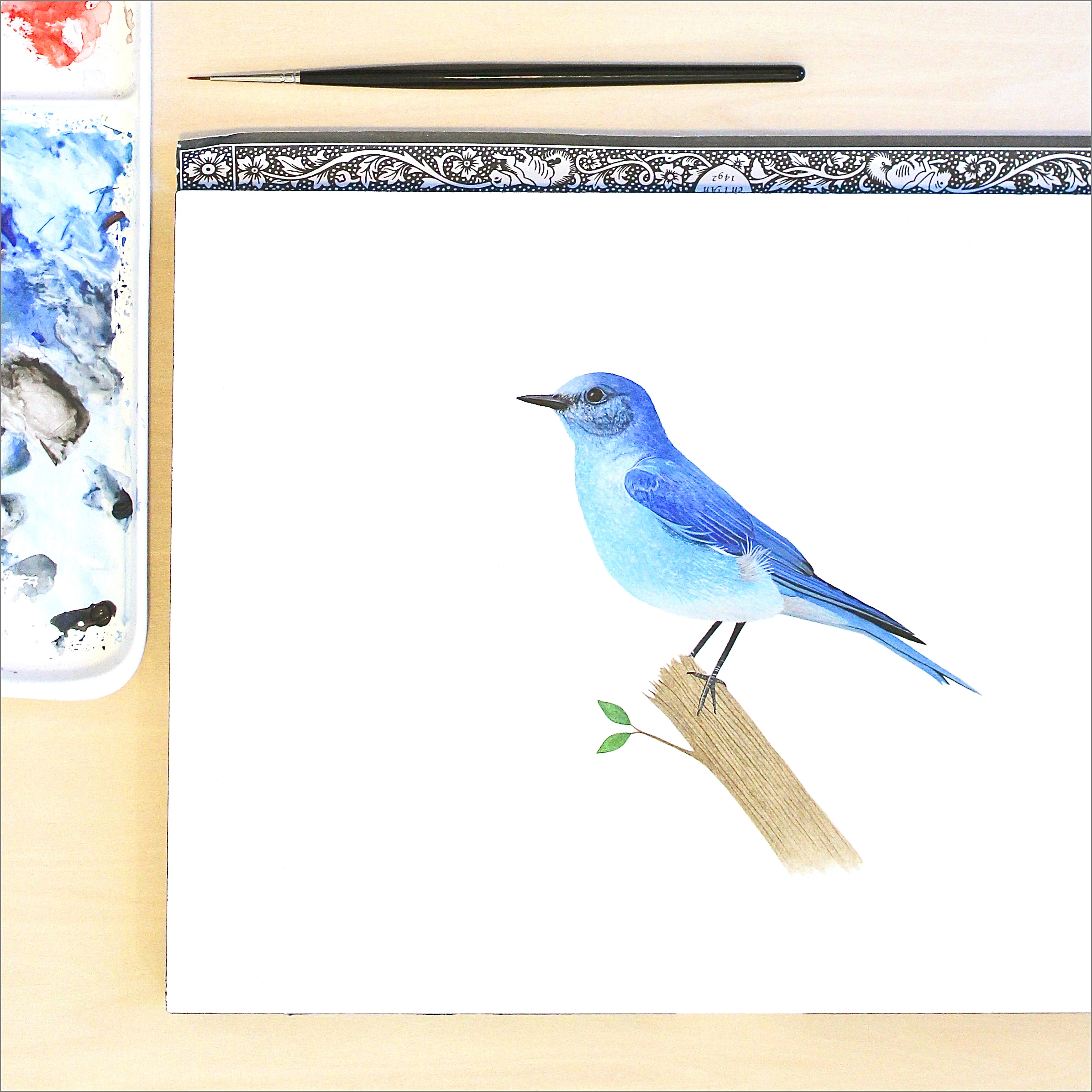 269-bluebird-in-progress-4-border.jpg