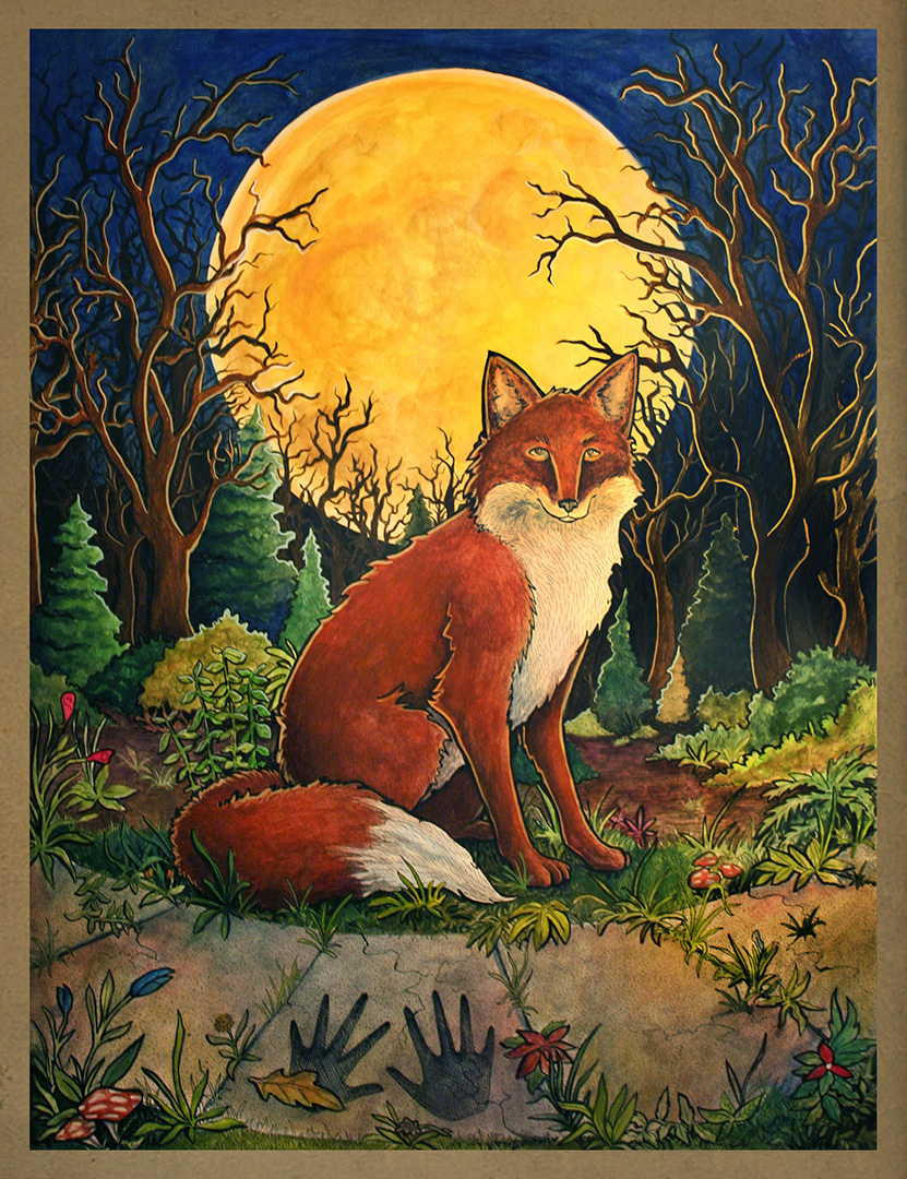 Fox Moon Children's book fantasy Nature illustration. 
