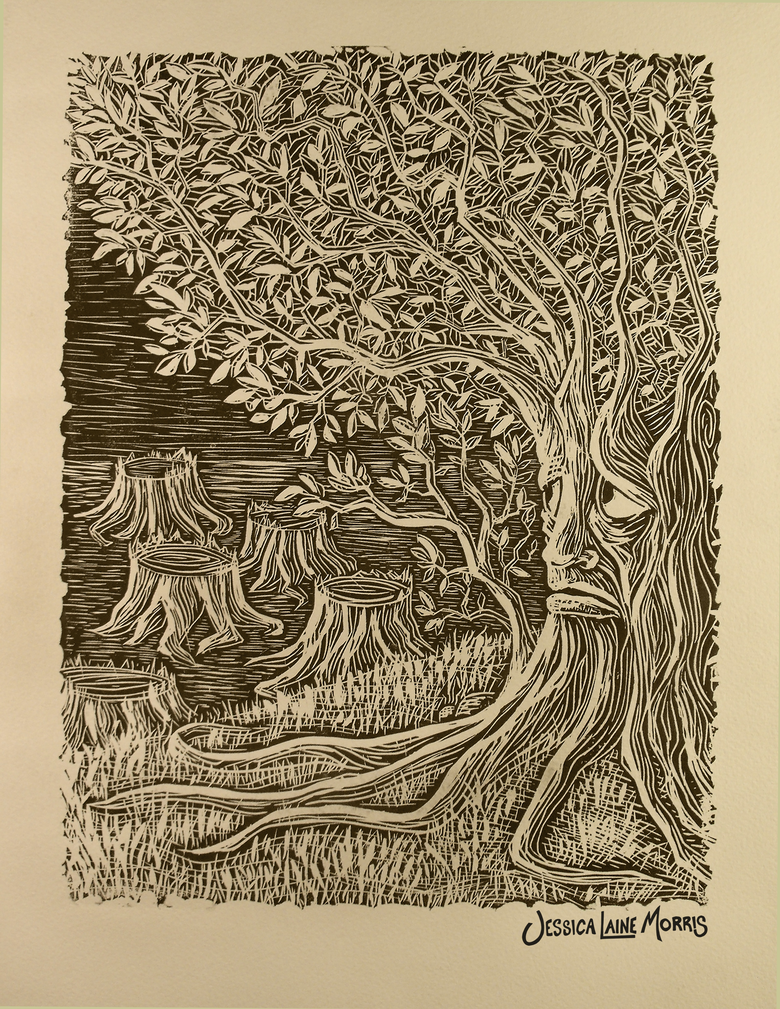 Deforestation Editorial Illustration.
