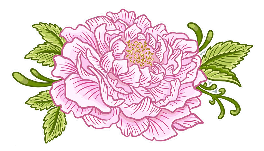 Floral Pink Peony Girly Cartoon Illustration Logo Graphic by Jessica Laine Morris