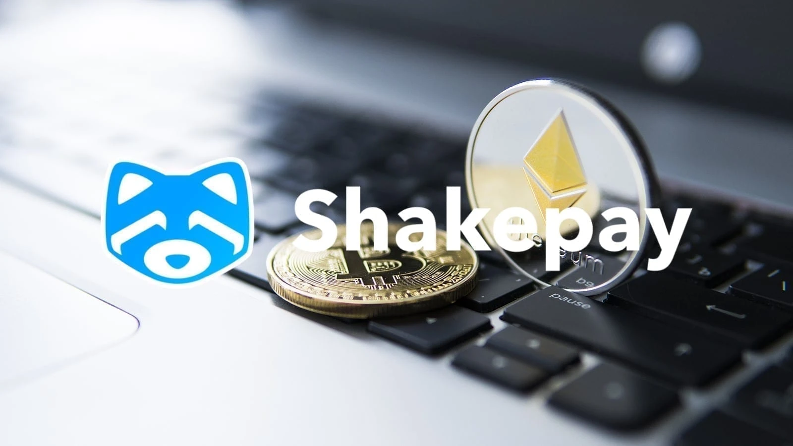 Shakepay Review 2024