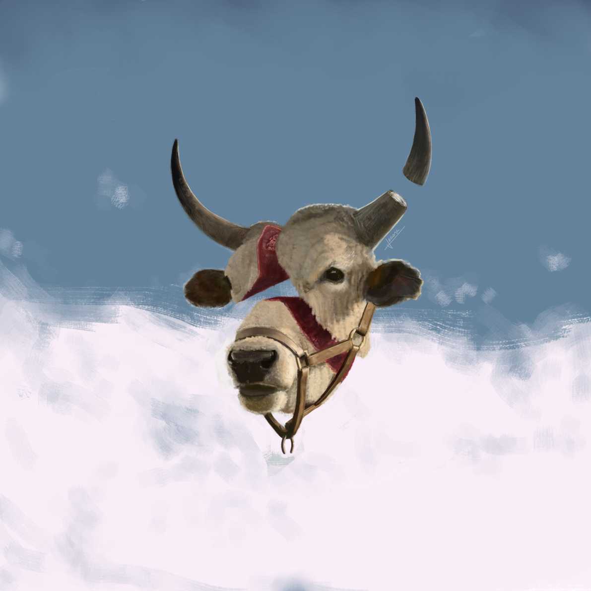 188-bull-web-signed.jpg