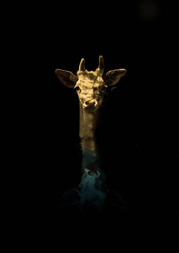 188-giraffedeer-web-signed.jpg