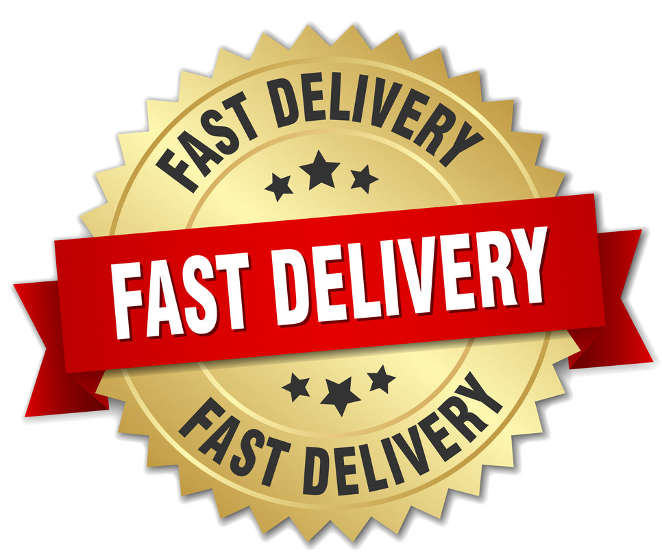 00966816847-fast-delivery.png