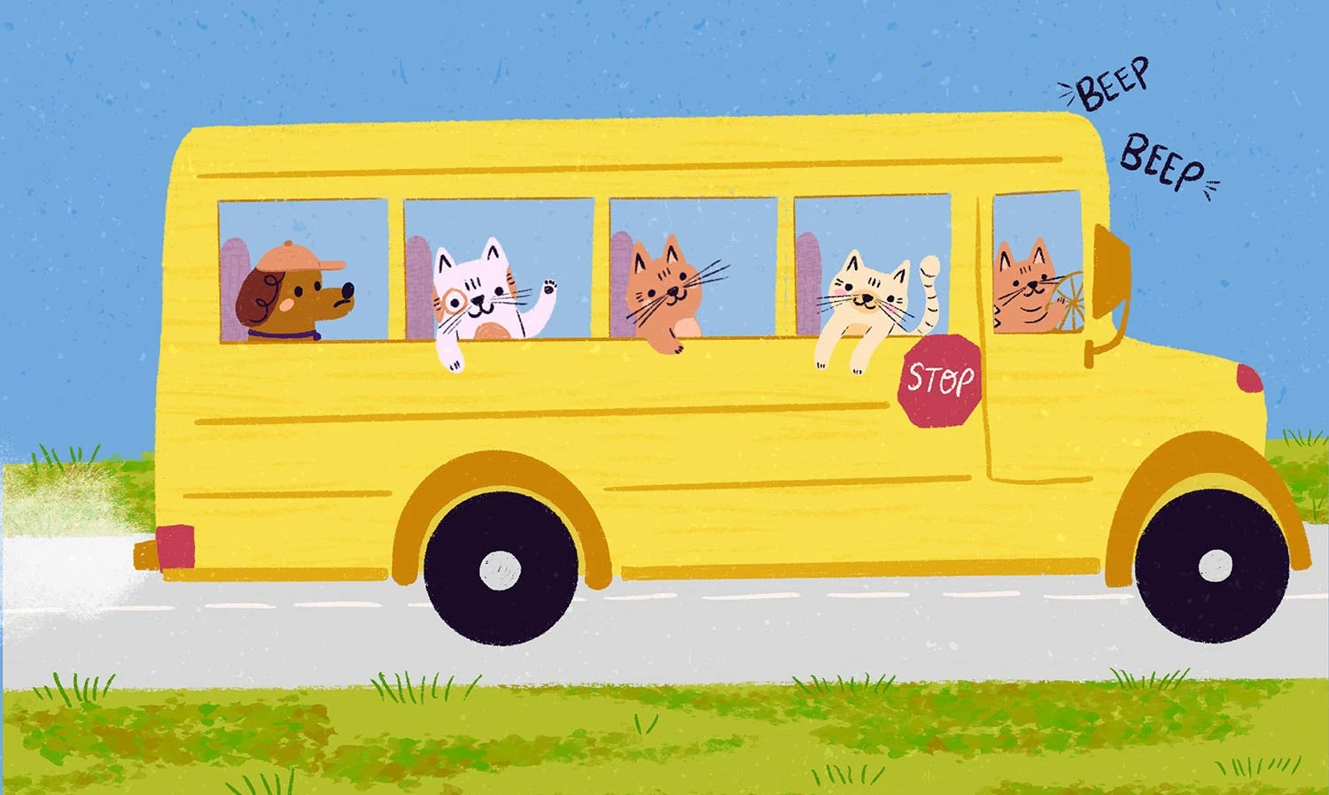0501500898347-webcatbus-17525113280949.jpg