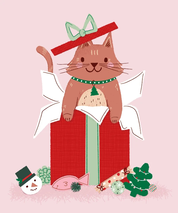 212-ksny-christmascatpresent-17494830897253.jpg