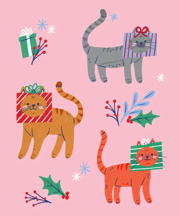 212-ksny-christmasgiftcats-17494832481856.jpg