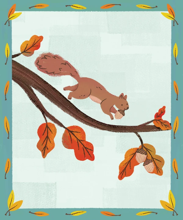 435-ksny-falltreesquirrel-17870856924725.jpg