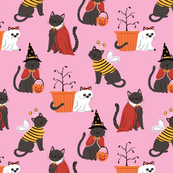435-ksny-halloweencostumecats-17870857766033.jpg