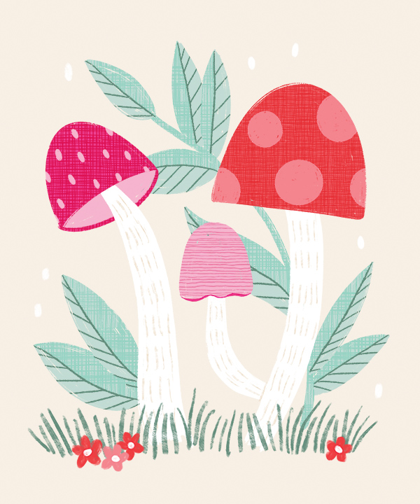 447-ksny-everydaycolorfulmushrooms-17871743279584.jpg