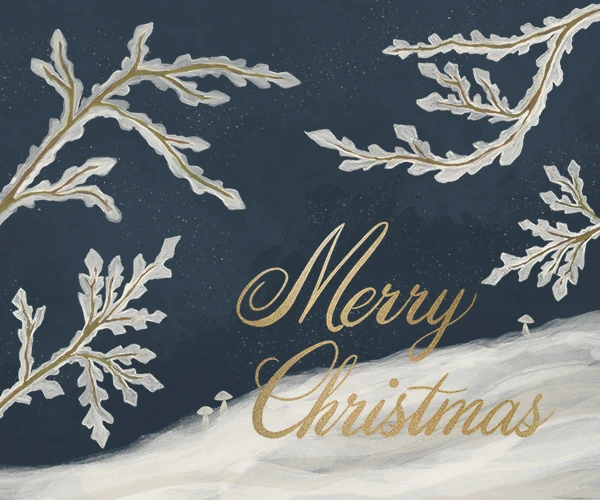 474-ksny-christmasicybranches-17873646723847.jpg