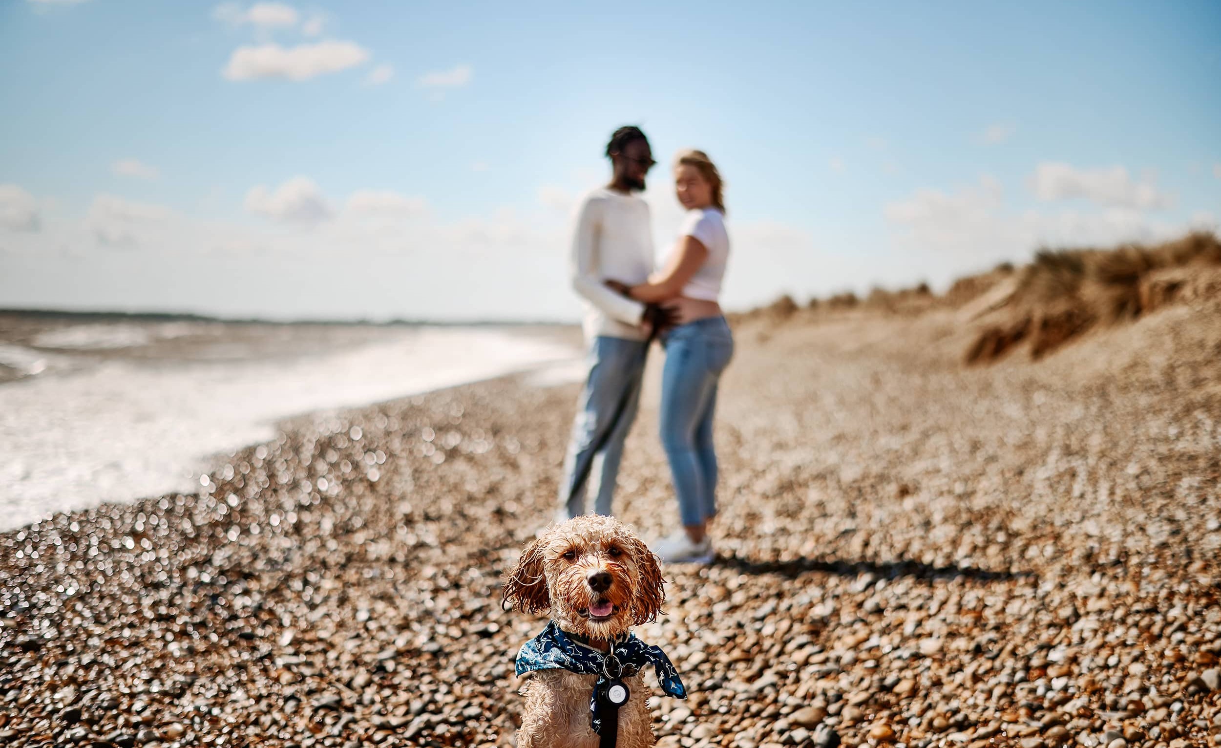 06625001531427-suffolk-maternity-family-photographer-walberswick-southwold-ipswich-kezia-tan-ph-16702541312465.jpg