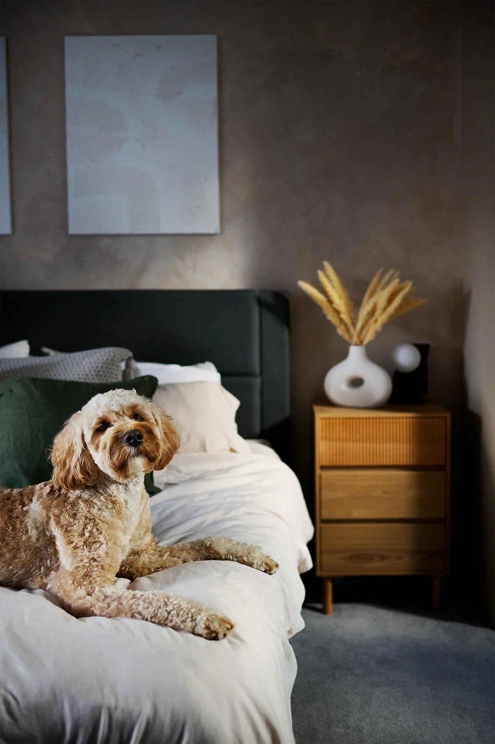 1314-luxury-interior-design-photographer-in-suffolk-5-17446516058811.jpg