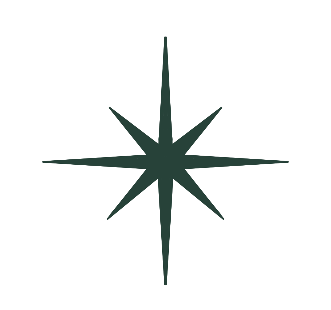 1726-ktp-star-04-1753546829298.png