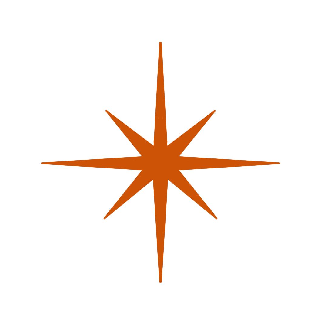 1733-ktp-star-10-17535468235757.png