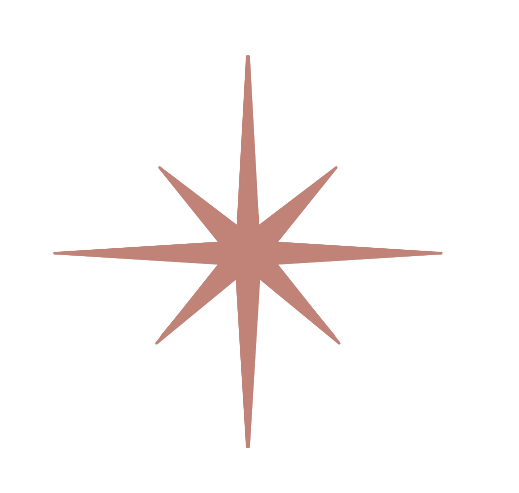 1747-ktp-star-08-17535468286427.png