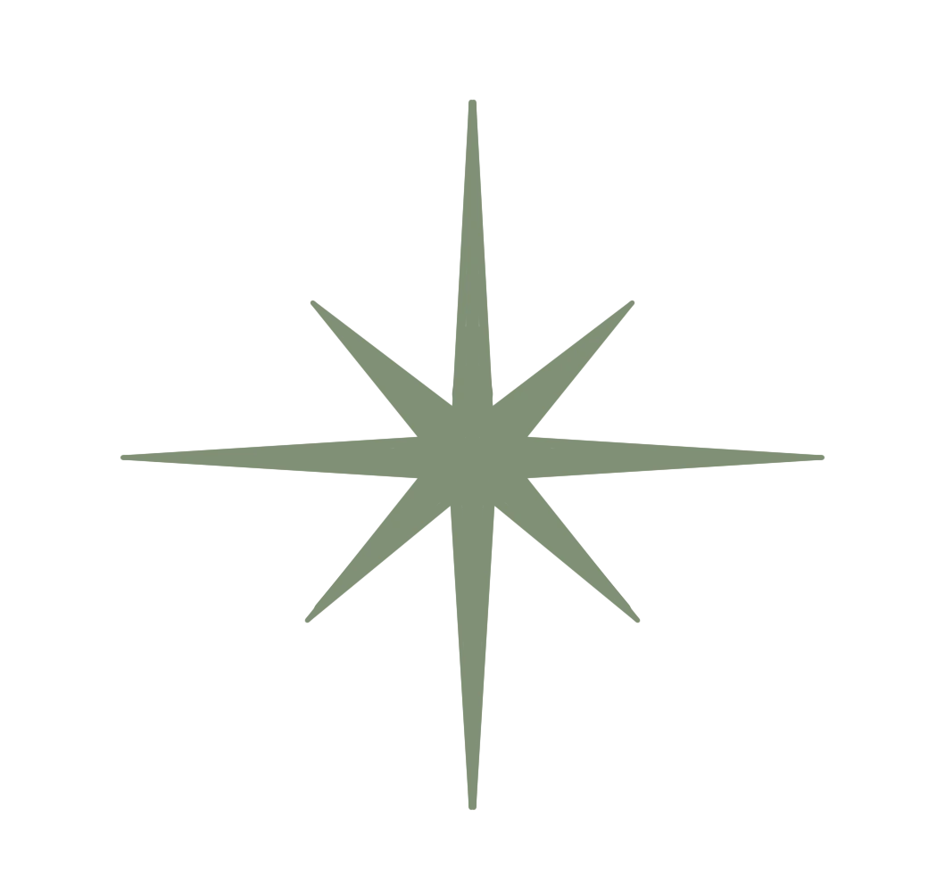 1768-ktp-star-07-17535468233435.png