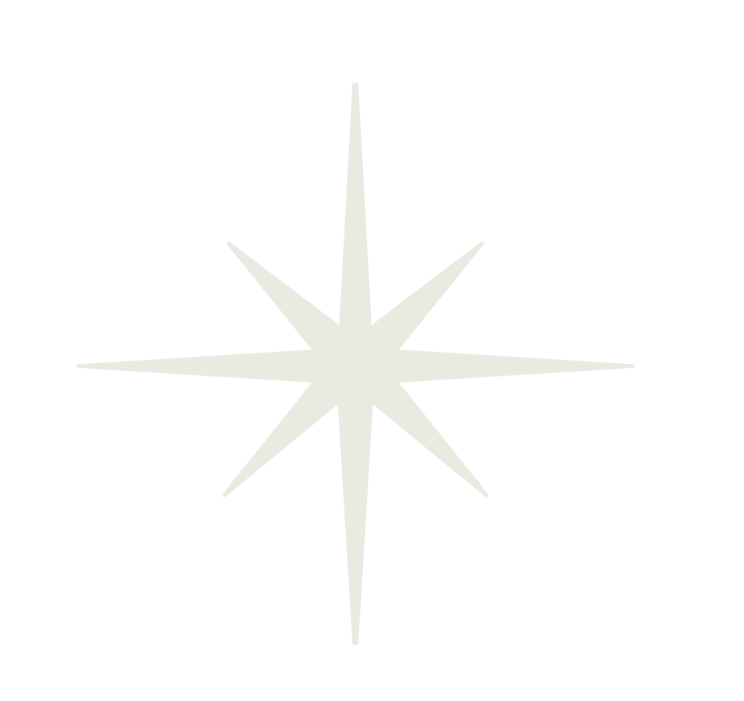 1784-ktp-star-05-17535423073651.png