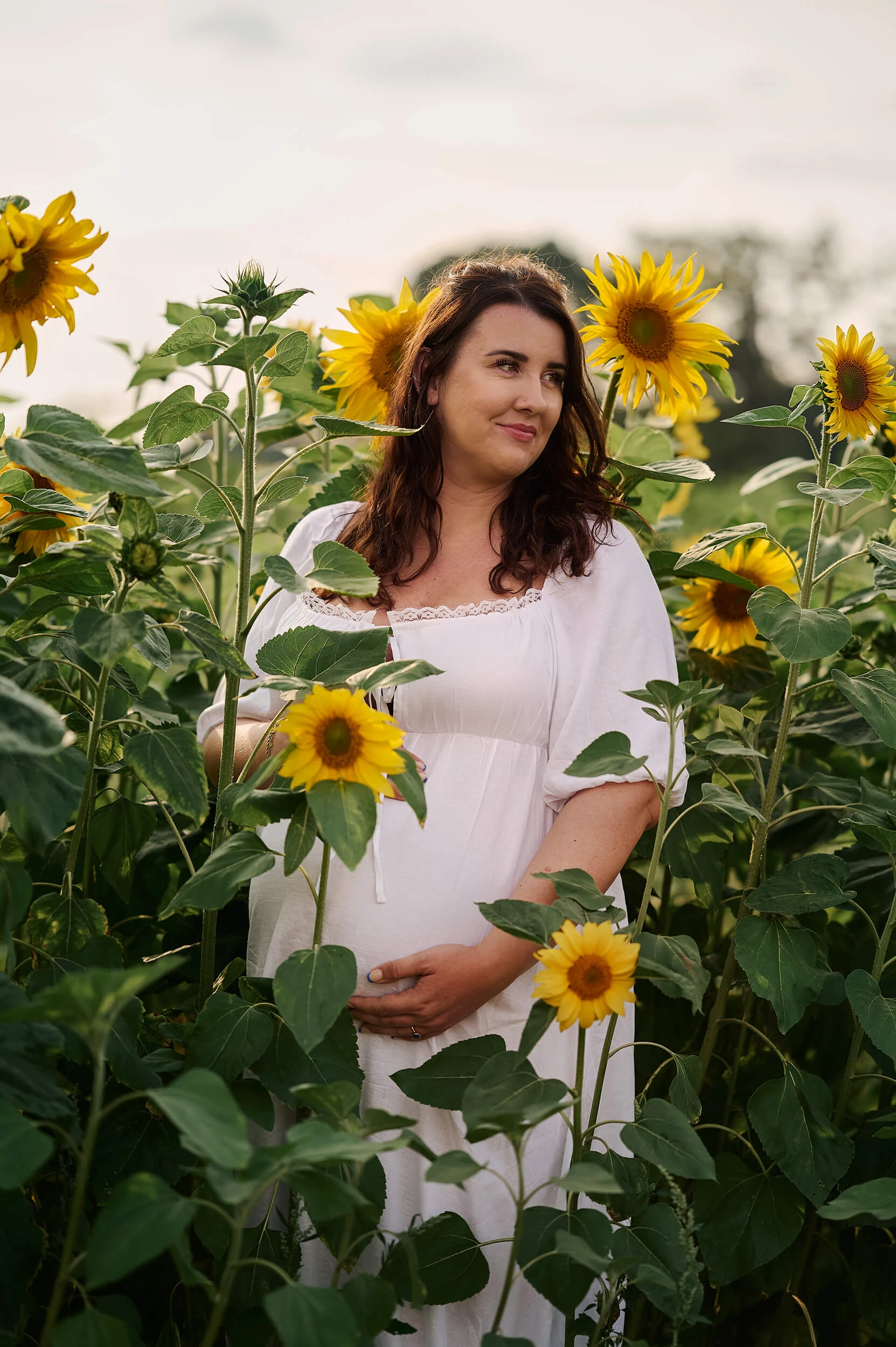relaxed-outdoor-maternity-photographer-in-sunflower-field