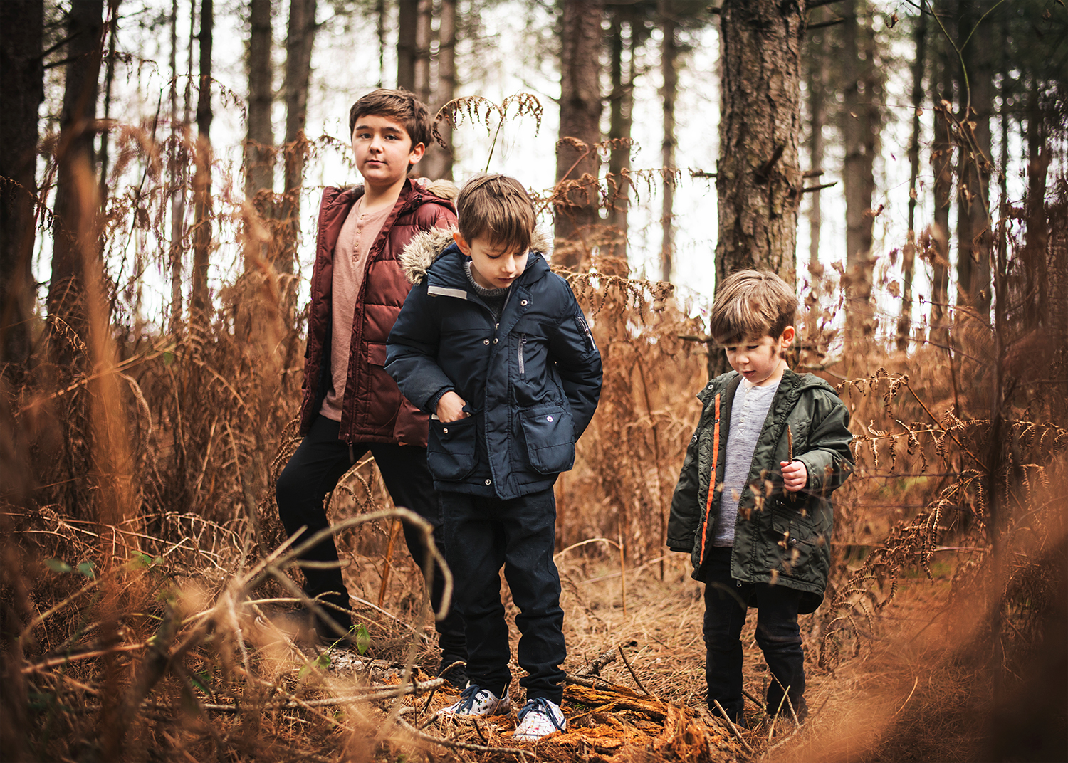 Three brothers playing in the forest during family photo