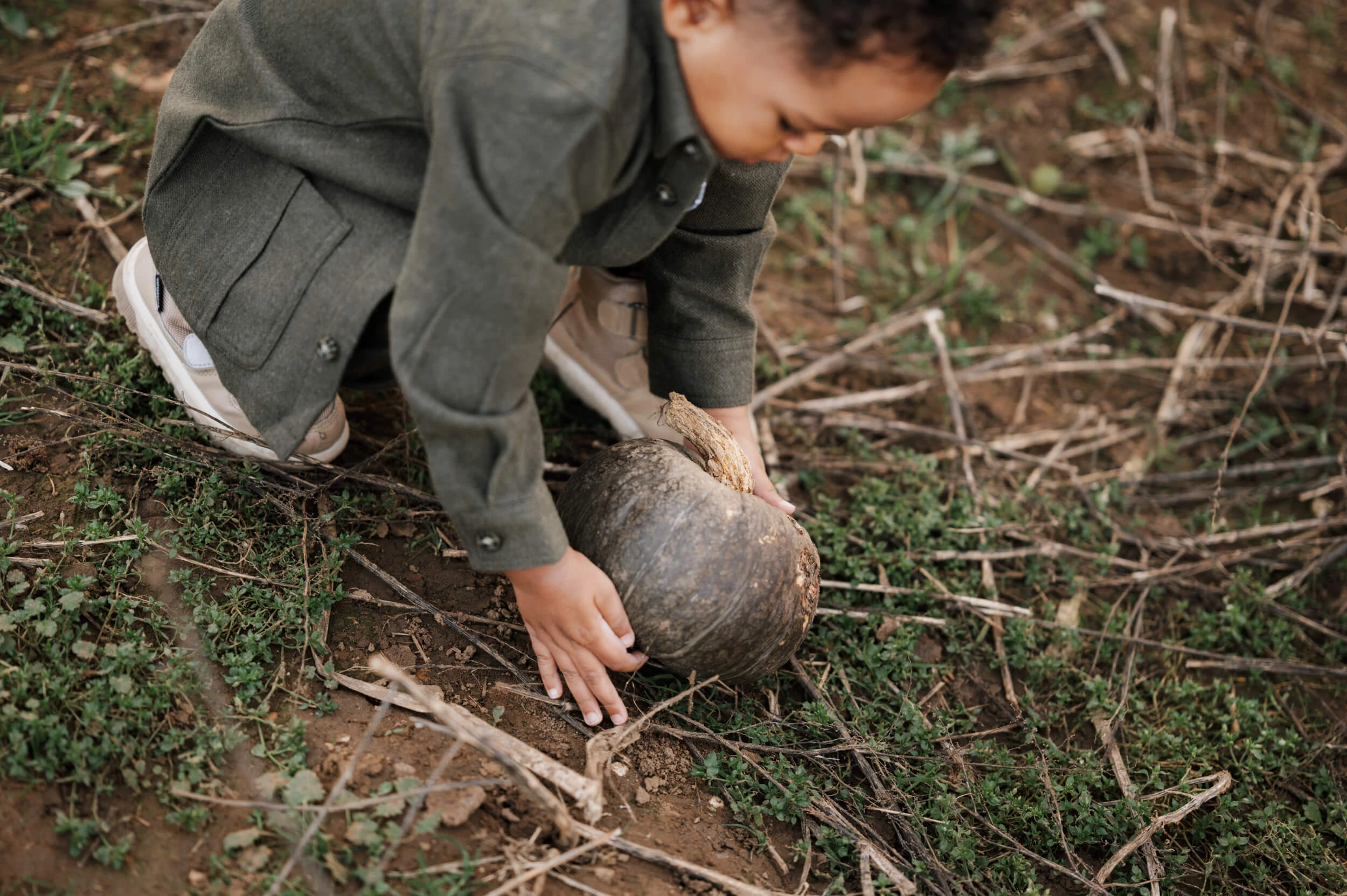 Toddler picking up pumpkin during family outdoors photo session