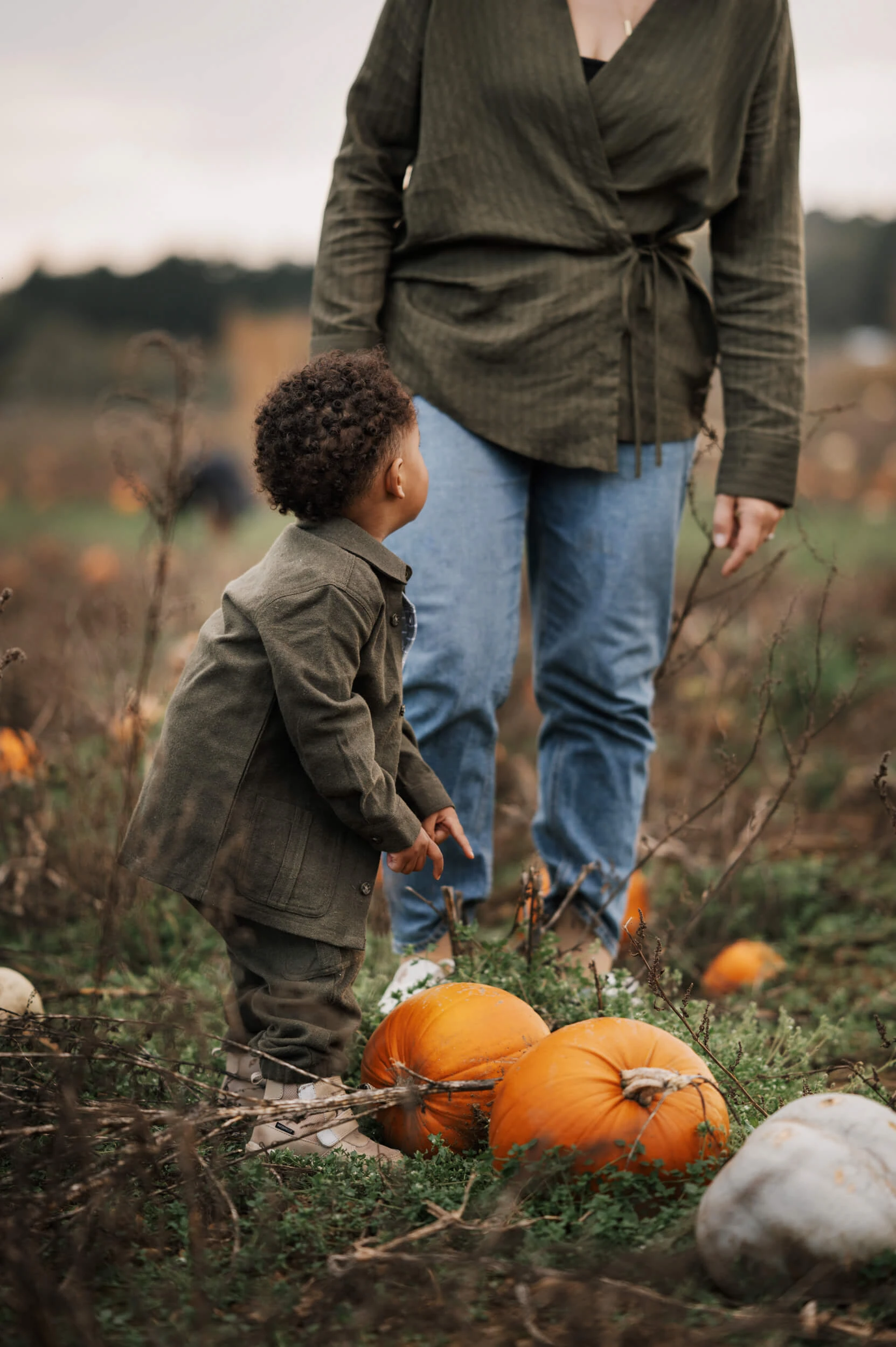 Toddler picking pumpkins in surrey photoshoot