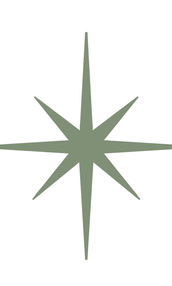 22905999991588-ktp-star-07-1753183775608.png