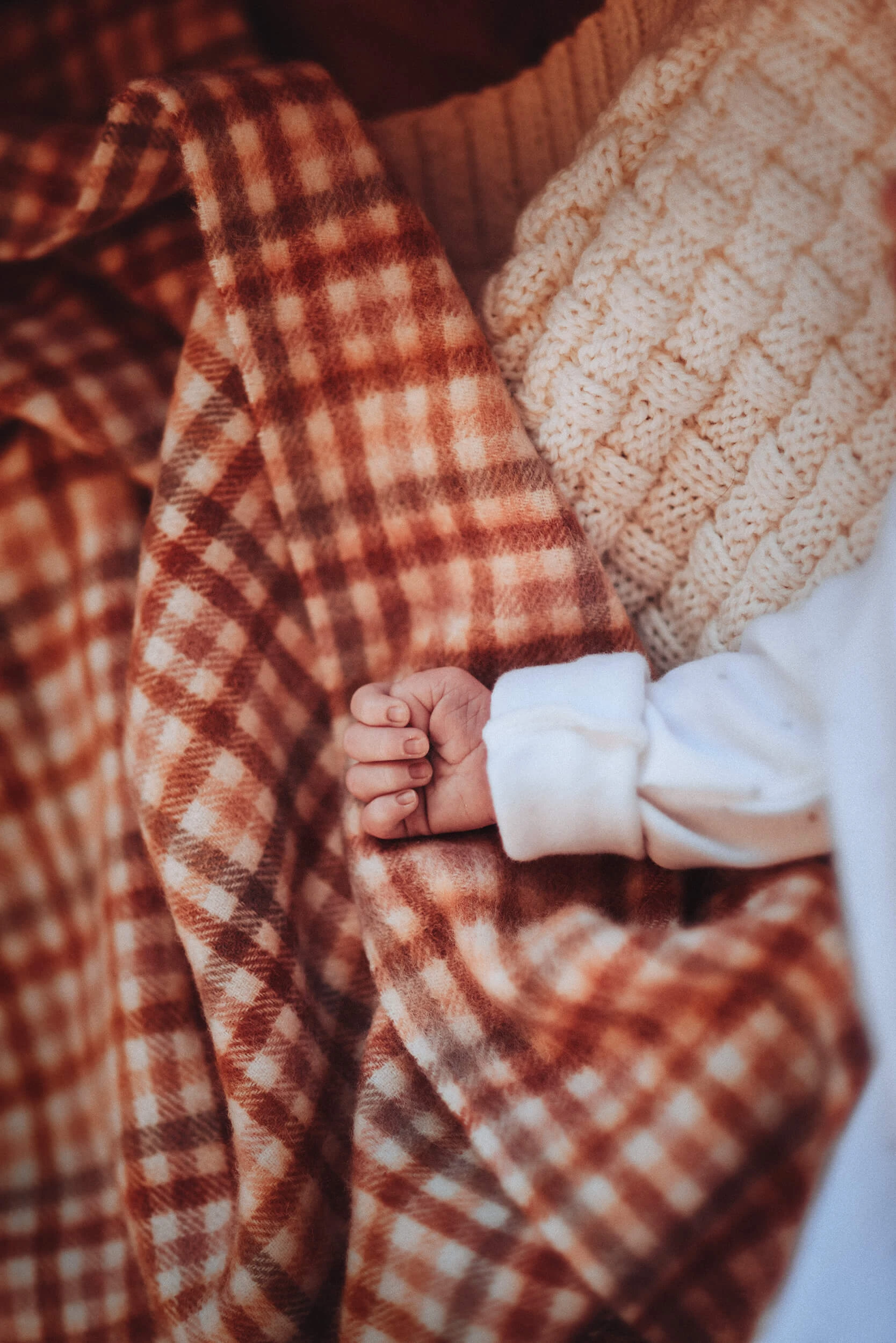 5252-homenewbornphotographersuffolkboxteddedhamkeziatan.jpg