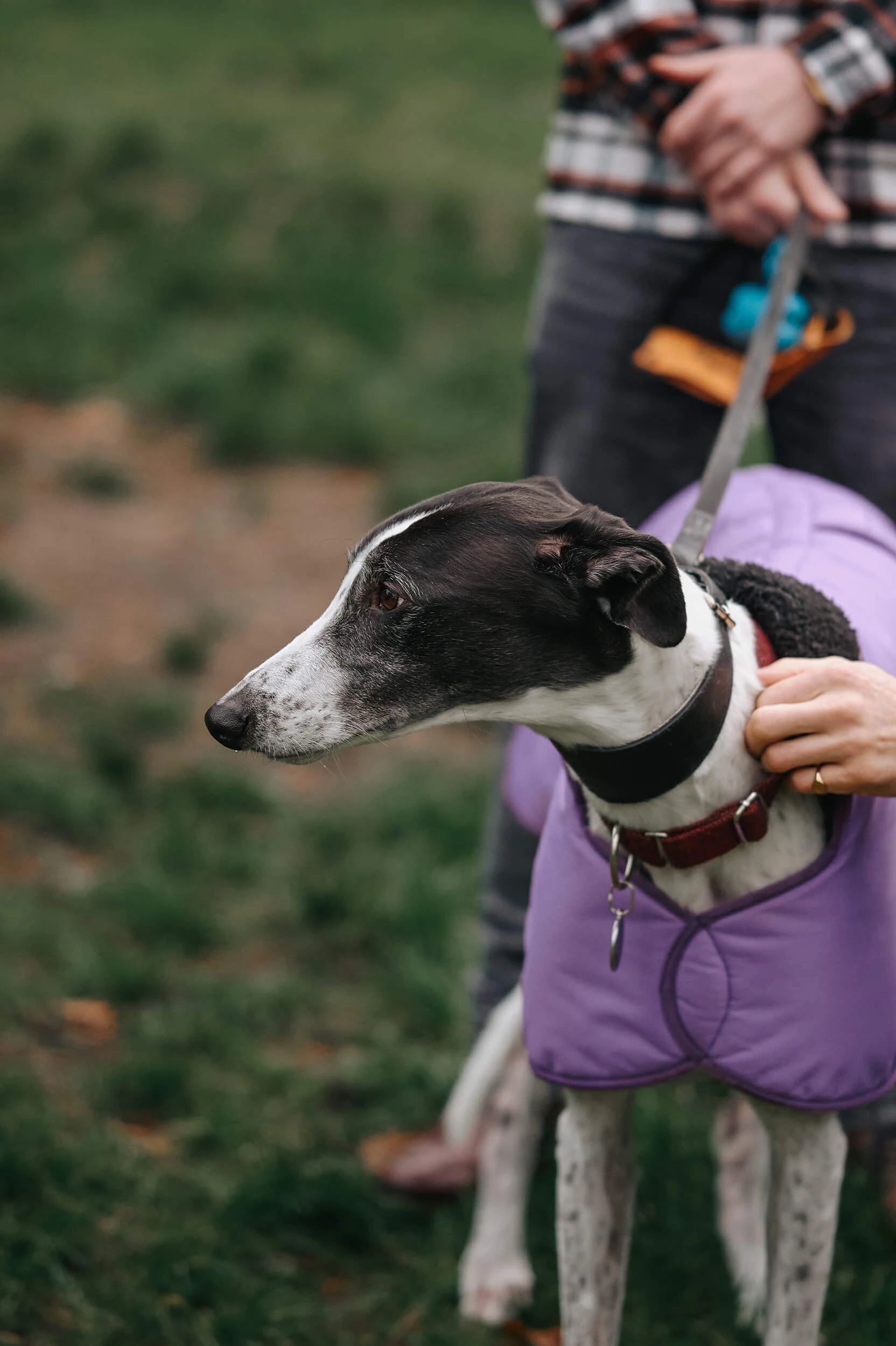family photo shoot outdoors in surrey