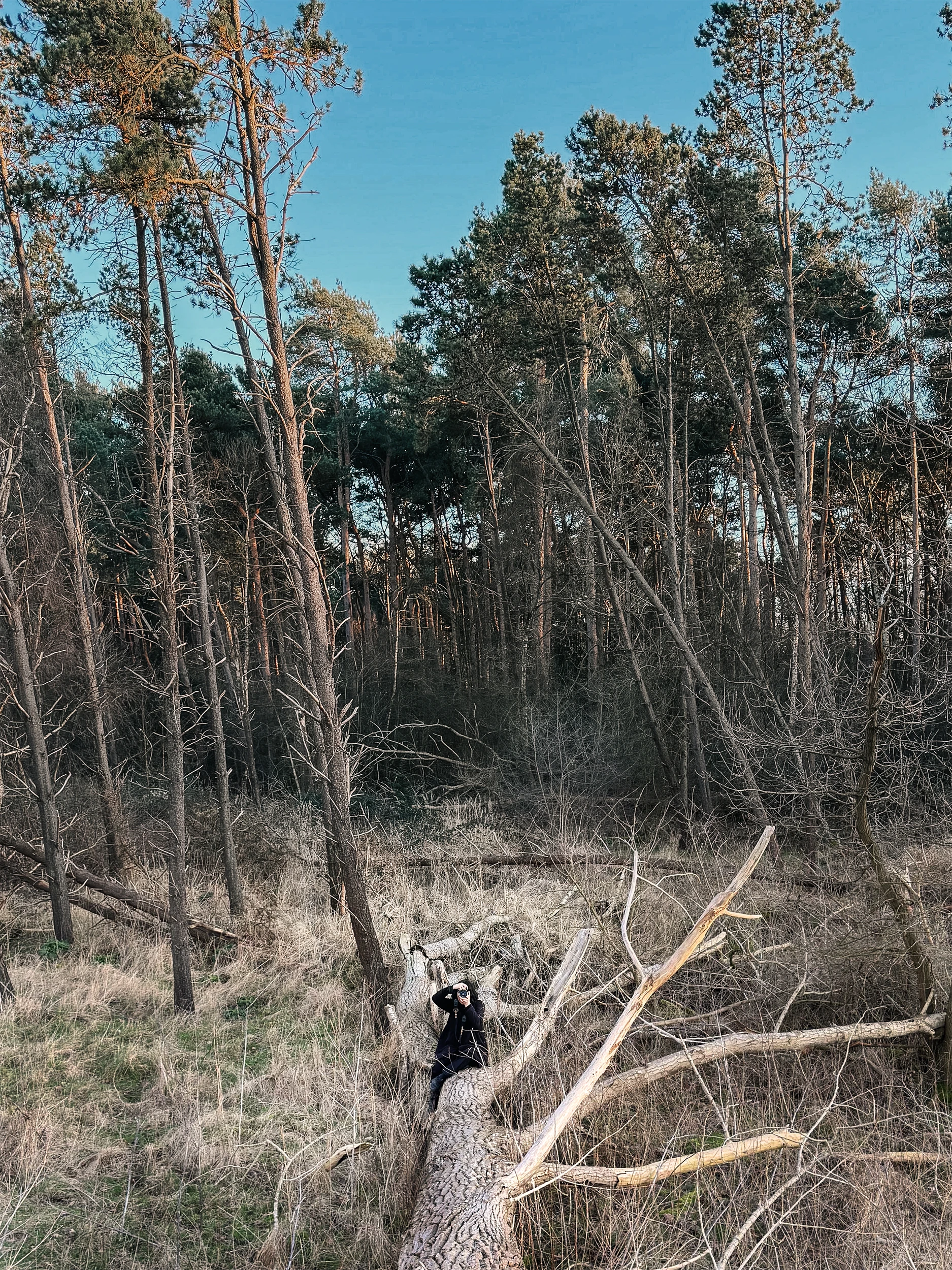 Alternative-creative-romantic-wedding-photographer-suffolk-surrey-london-uk