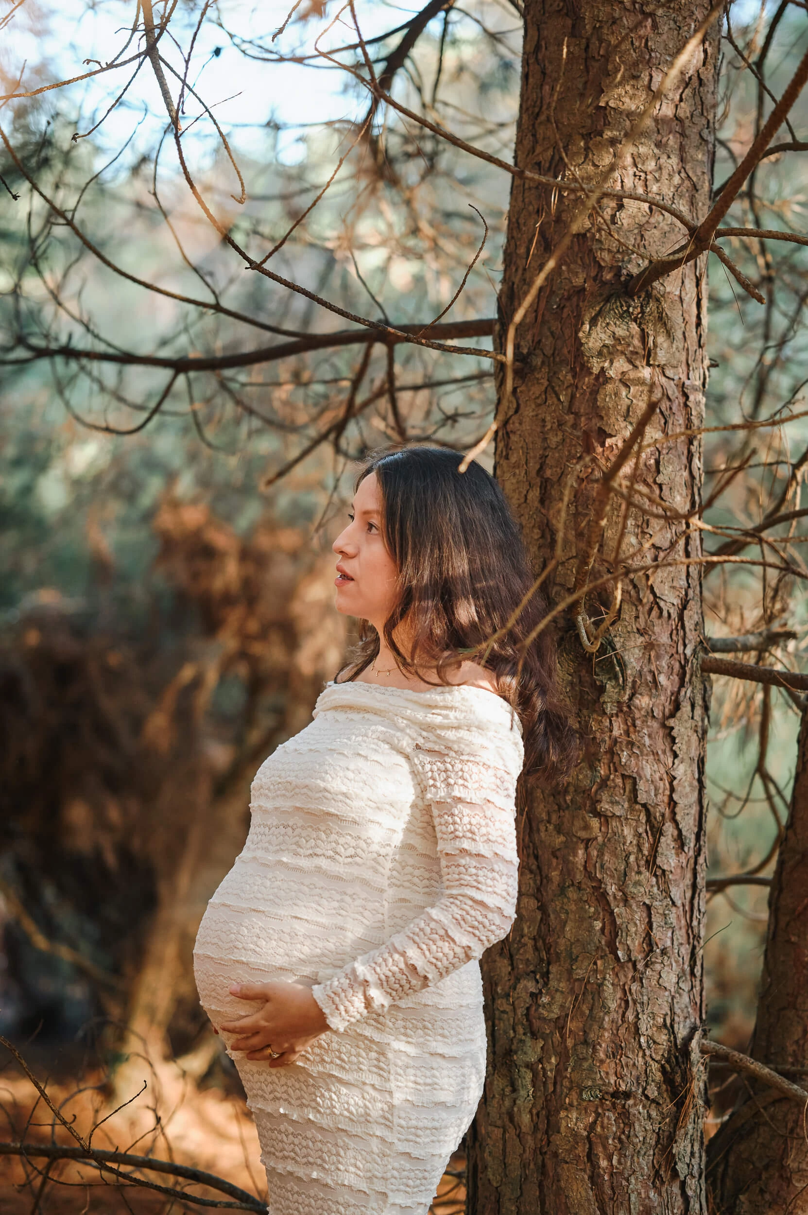 pregnancy photo shoot in nature forest