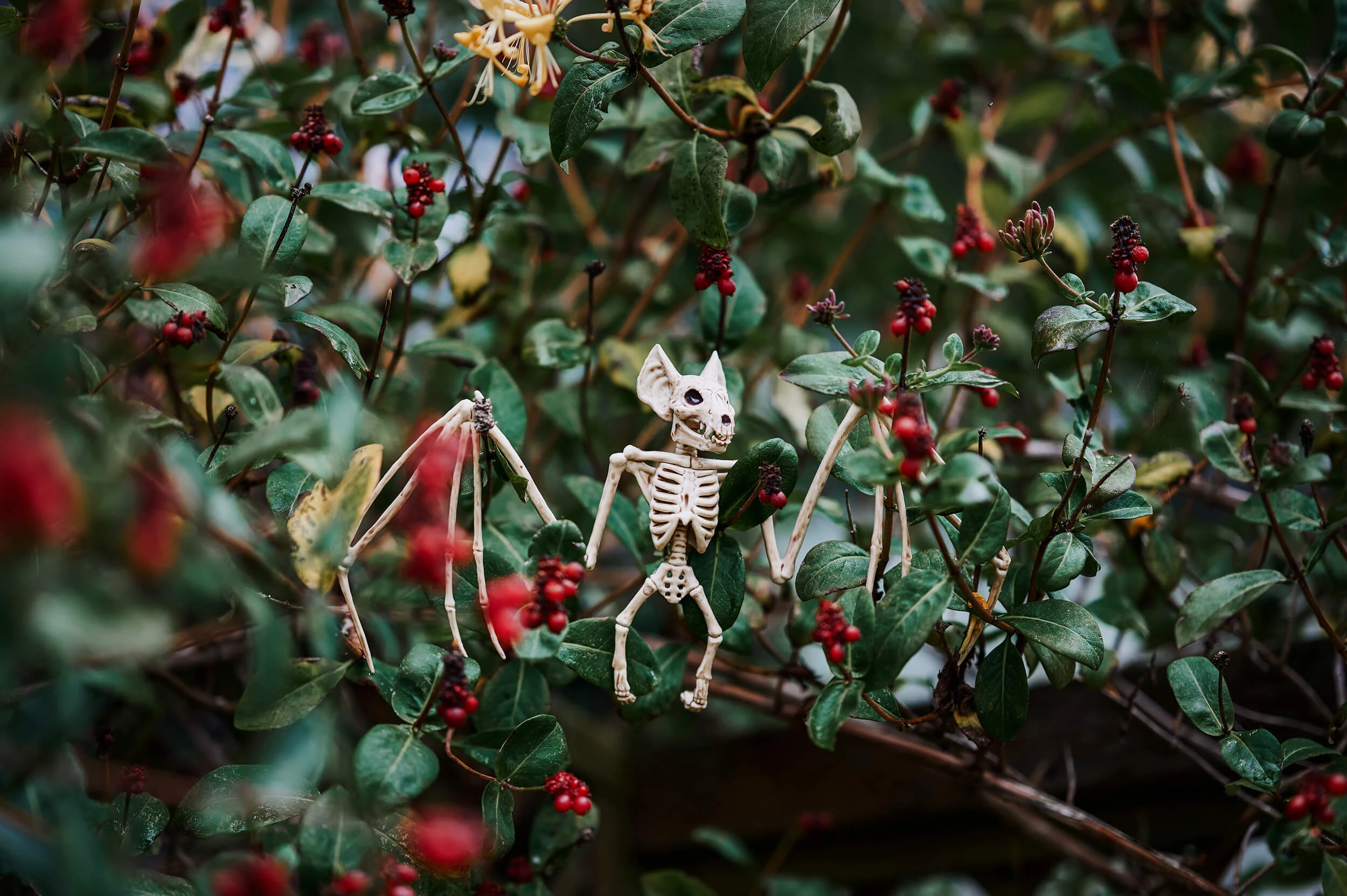 Boho_Gothic_Romantic_Relaxed_Alternative_Wedding_Photographer_In_Suffolk_Kezia_Tan