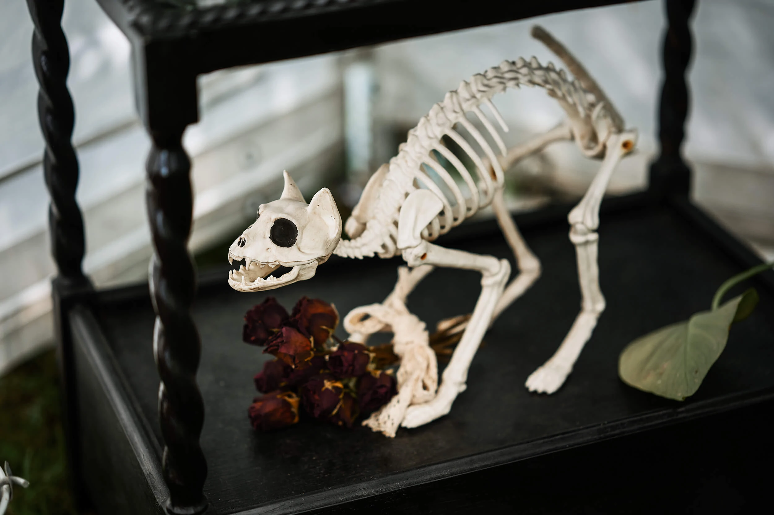 Boho_Gothic_Romantic_Relaxed_Alternative_Wedding_Photographer_In_Suffolk_Kezia_Tan