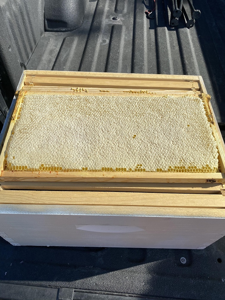 734-capped-honey-25-pc.jpg